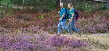 Zwei Wanderer laufen auf Wanderweg durch die Moosheide in der Senne