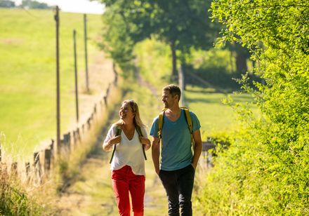 Zwei junge Menschen wandern bei sonnigem Wetter auf einem grünen, von Bäumen gesäumten Feldweg.
