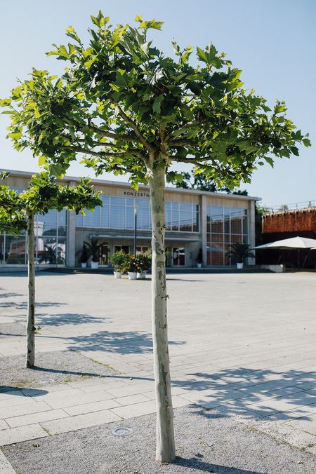 Staatsbad Salzuflen-Vor der Konzerthalle