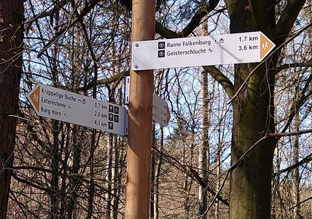 Frühwanderung zur Falkenburg