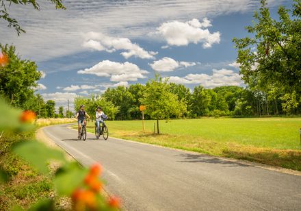 Zwei Radfahrer auf dem Else-Werre-Radweg im Wittekindsland Herford