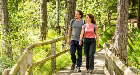 Ein Paar spaziert auf einem hölzernen Steg durch einen lichten Wald, sonnenbeschienen im Teutoburger Wald.