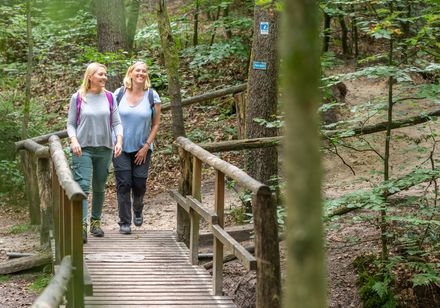 Zwei Frauen wandern entspannt über eine hölzerne Brücke in einem grünen, dichten Waldgebiet.