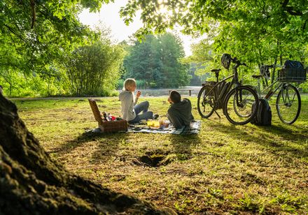 Ein Paar genießt ein Picknick auf einer Decke im grünen Park, Fahrräder stehen im Hintergrund.