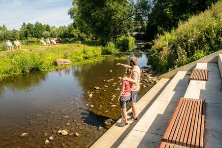Ein Paar betrachtet von einer Uferterrasse aus den Emssee inmitten von grüner Natur.