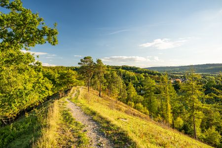 Ein malerischer Wanderweg führt durch eine grüne, hügelige Landschaft unter strahlend blauem Himmel.