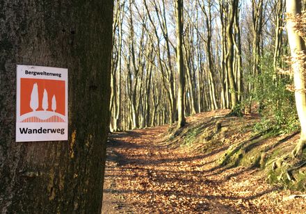 Markierungszeichen am Baum