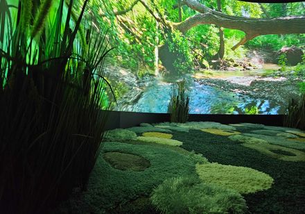 Nahaufnahme von der Leinwand in der Moorerlebniswelt. 