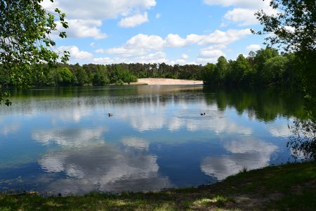 Blick auf den Habichtsee mit Bäumen